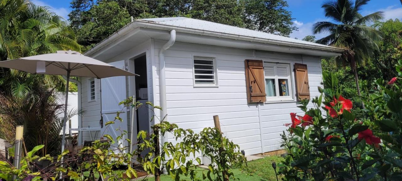 Ti-Hibiscus Bungalow T1 Clim-Wifi 30M2 2 Pers Grande Savane 外观 照片